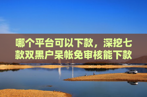 哪个平台可以下款，深挖七款双黑户呆帐免审核能下款的APP