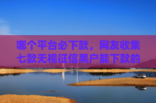 哪个平台必下款，网友收集七款无视征信黑户能下款的app