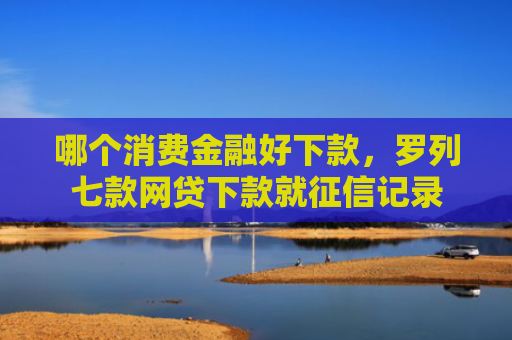 哪个消费金融好下款，罗列七款网贷下款就征信记录