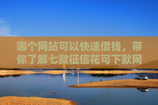 哪个网站可以快速借钱，带你了解七款征信花可下款网贷