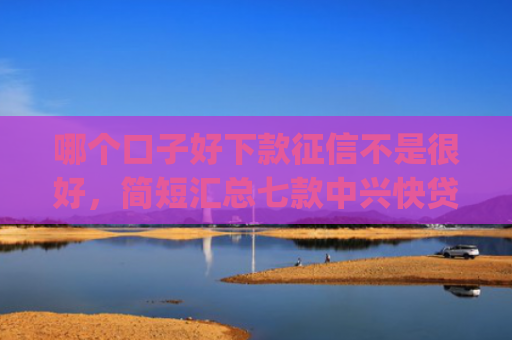 哪个口子好下款征信不是很好，简短汇总七款中兴快贷app黑户下款72000