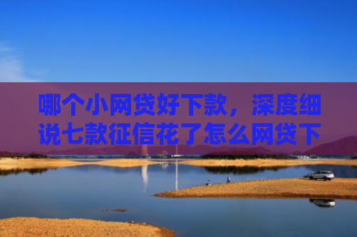 哪个小网贷好下款，深度细说七款征信花了怎么网贷下款