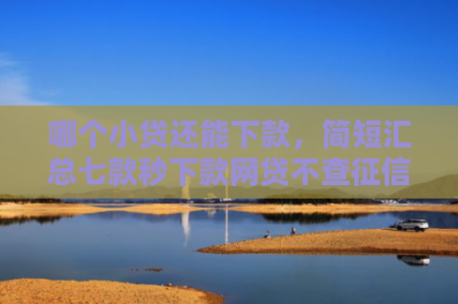 哪个小贷还能下款，简短汇总七款秒下款网贷不查征信