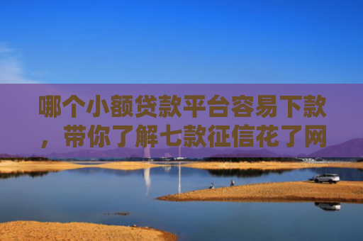 哪个小额贷款平台容易下款，带你了解七款征信花了网贷不给下款