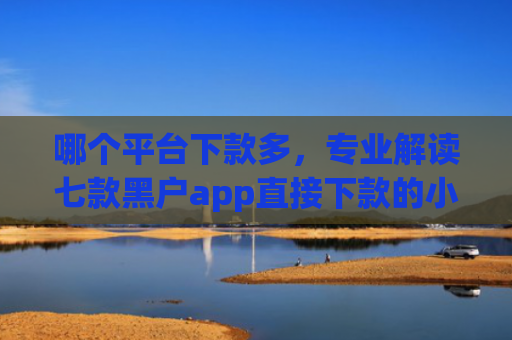 哪个平台下款多，专业解读七款黑户app直接下款的小额贷款