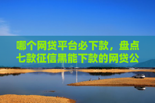 哪个网贷平台必下款，盘点七款征信黑能下款的网贷公司