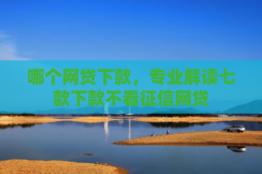 哪个网贷下款，专业解读七款下款不看征信网贷