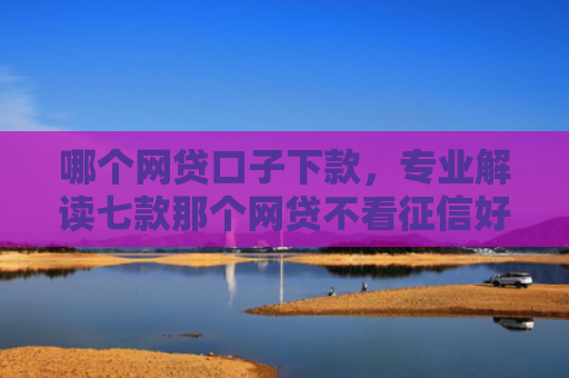 哪个网贷口子下款，专业解读七款那个网贷不看征信好下款
