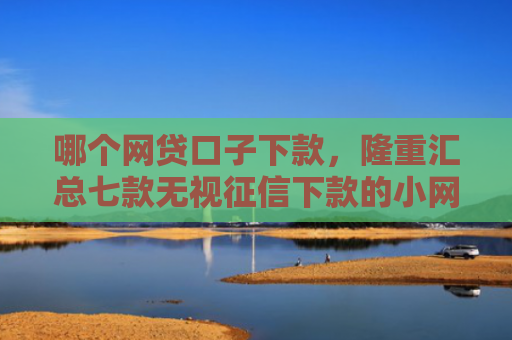 哪个网贷口子下款，隆重汇总七款无视征信下款的小网贷