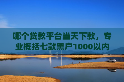 哪个贷款平台当天下款，专业概括七款黑户1000以内必下款的app