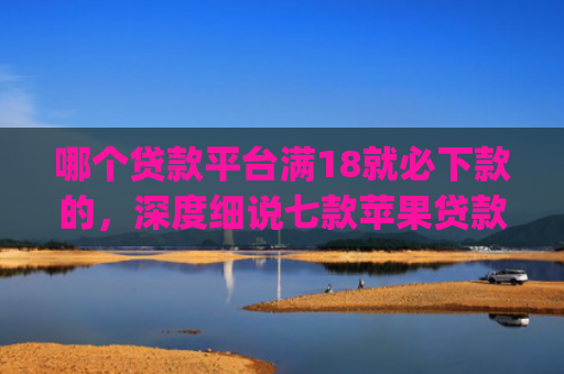 哪个贷款平台满18就必下款的，深度细说七款苹果贷款app黑户可以下款