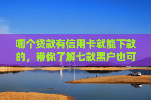 哪个贷款有信用卡就能下款的，带你了解七款黑户也可以下款的app