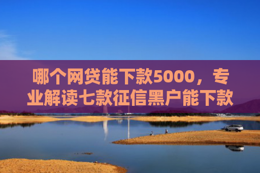 哪个网贷能下款5000，专业解读七款征信黑户能下款的网贷