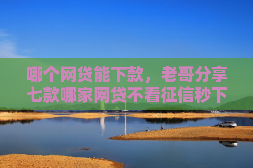 哪个网贷能下款，老哥分享七款哪家网贷不看征信秒下款