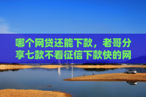 哪个网贷还能下款，老哥分享七款不看征信下款快的网贷