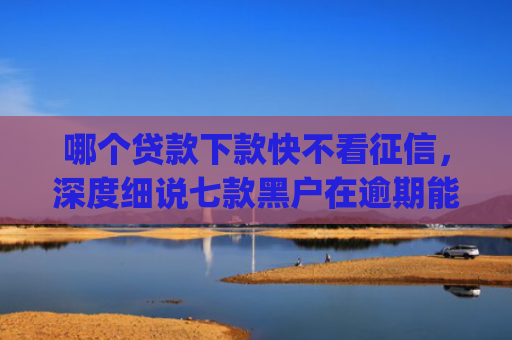 哪个贷款下款快不看征信，深度细说七款黑户在逾期能下款app入口