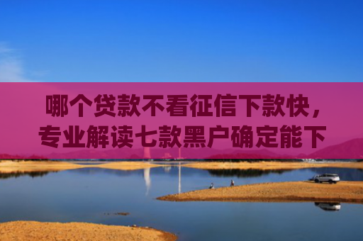哪个贷款不看征信下款快，专业解读七款黑户确定能下款的app