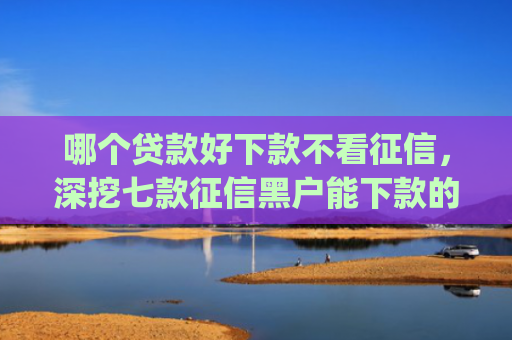 哪个贷款好下款不看征信，深挖七款征信黑户能下款的app