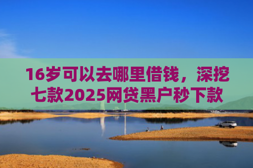 16岁可以去哪里借钱，深挖七款2025网贷黑户秒下款的口子