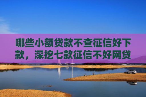 哪些小额贷款不查征信好下款，深挖七款征信不好网贷哪个能下款