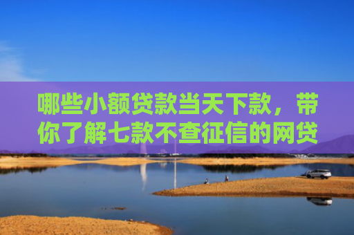 哪些小额贷款当天下款，带你了解七款不查征信的网贷易下款