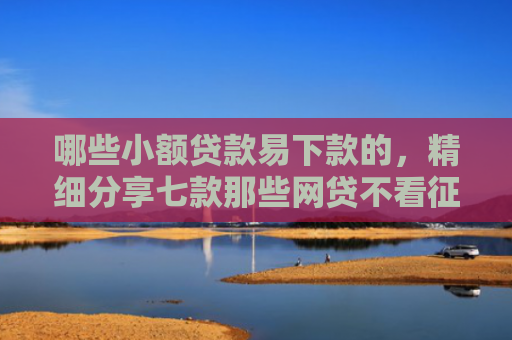 哪些小额贷款易下款的，精细分享七款那些网贷不看征信下款快