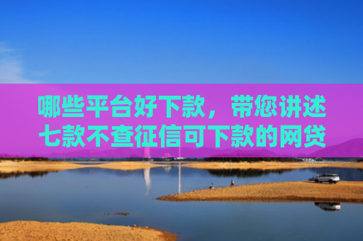 哪些平台好下款，带您讲述七款不查征信可下款的网贷