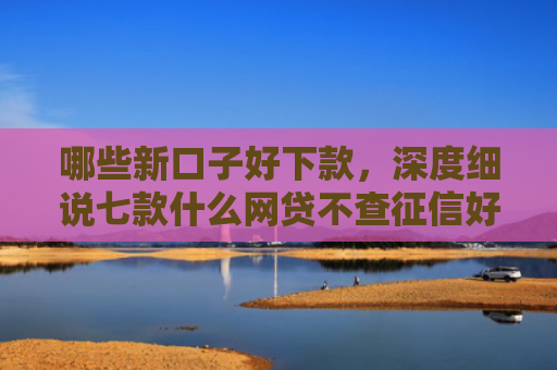 哪些新口子好下款，深度细说七款什么网贷不查征信好下款
