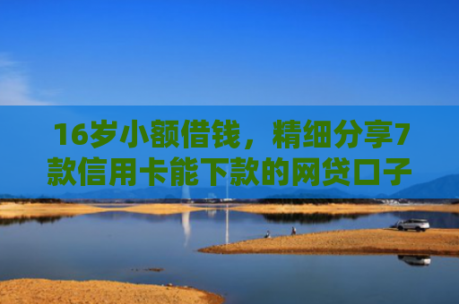 16岁小额借钱，精细分享7款信用卡能下款的网贷口子
