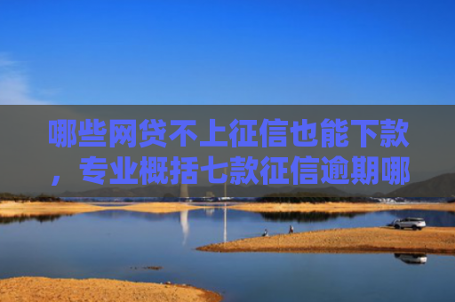 哪些网贷不上征信也能下款，专业概括七款征信逾期哪个网贷能下款