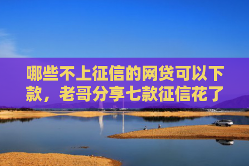 哪些不上征信的网贷可以下款，老哥分享七款征信花了下款的网贷口子