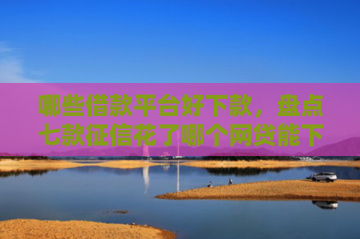 哪些借款平台好下款，盘点七款征信花了哪个网贷能下款