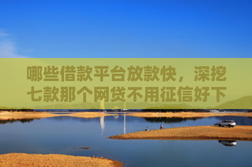 哪些借款平台放款快，深挖七款那个网贷不用征信好下款