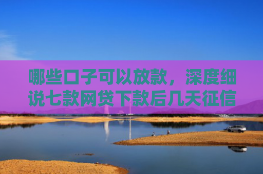 哪些口子可以放款，深度细说七款网贷下款后几天征信可查