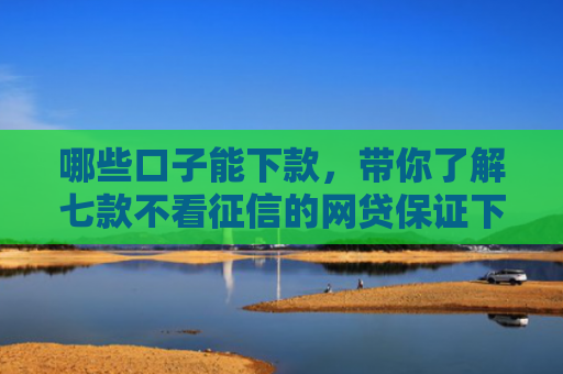 哪些口子能下款，带你了解七款不看征信的网贷保证下款