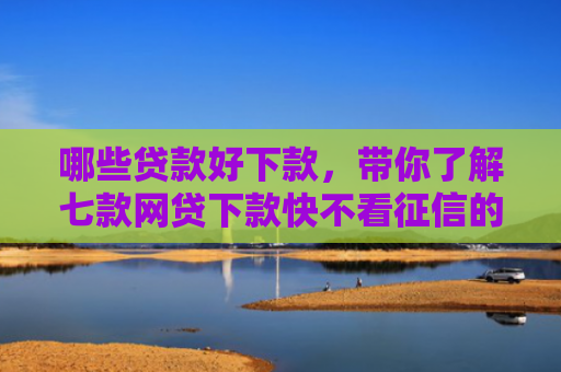 哪些贷款好下款，带你了解七款网贷下款快不看征信的