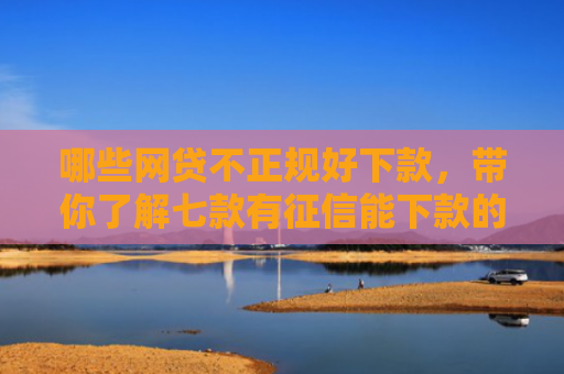 哪些网贷不正规好下款，带你了解七款有征信能下款的网贷