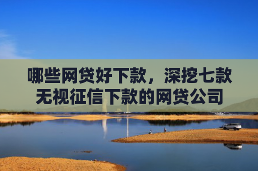 哪些网贷好下款，深挖七款无视征信下款的网贷公司