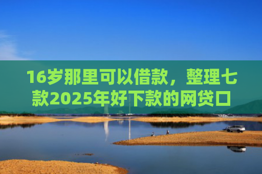 16岁那里可以借款，整理七款2025年好下款的网贷口子