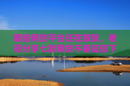 哪些网贷平台还在放款，老哥分享七款网贷不看征信下款快6