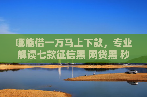 哪能借一万马上下款，专业解读七款征信黑 网贷黑 秒下款