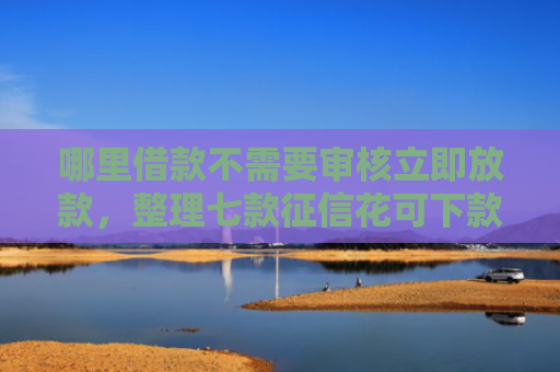 哪里借款不需要审核立即放款，整理七款征信花可下款的网贷