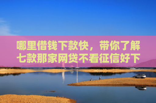 哪里借钱下款快，带你了解七款那家网贷不看征信好下款