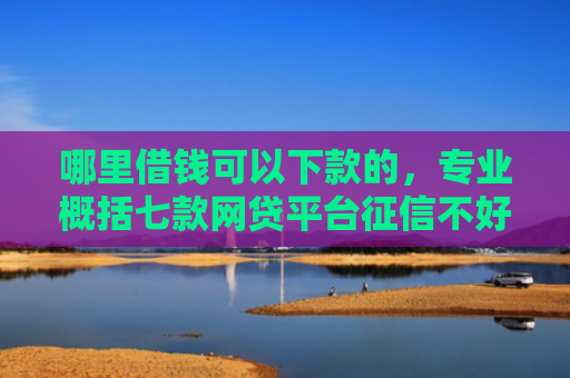 哪里借钱可以下款的，专业概括七款网贷平台征信不好好下款