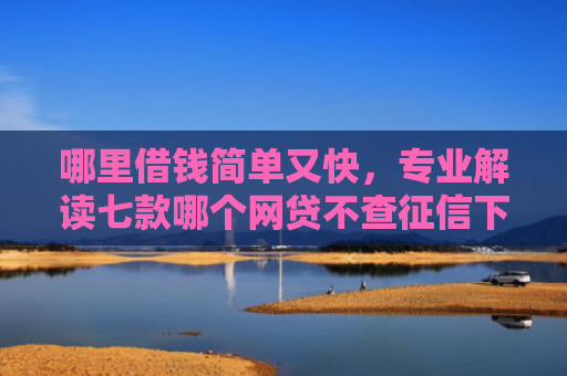 哪里借钱简单又快，专业解读七款哪个网贷不查征信下款多