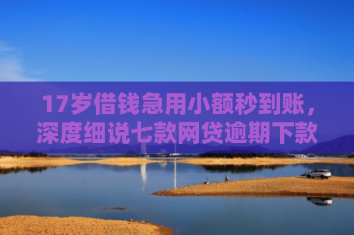 17岁借钱急用小额秒到账，深度细说七款网贷逾期下款口子