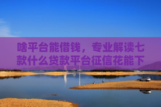 啥平台能借钱，专业解读七款什么贷款平台征信花能下款