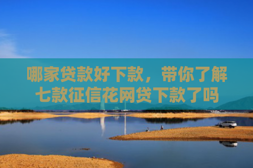哪家贷款好下款，带你了解七款征信花网贷下款了吗