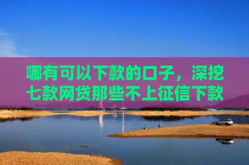 哪有可以下款的口子，深挖七款网贷那些不上征信下款