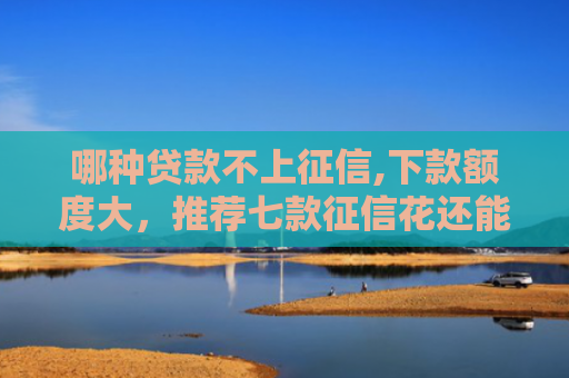 哪种贷款不上征信,下款额度大，推荐七款征信花还能下款的网贷